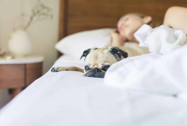 PHILIBERT dormir avec son chien