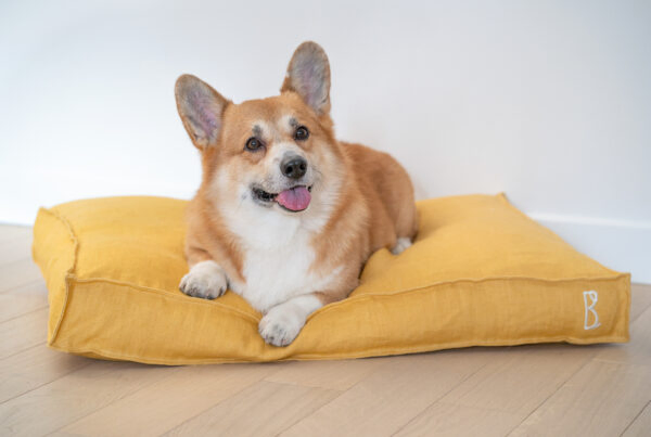 Coussin pour chien résistant